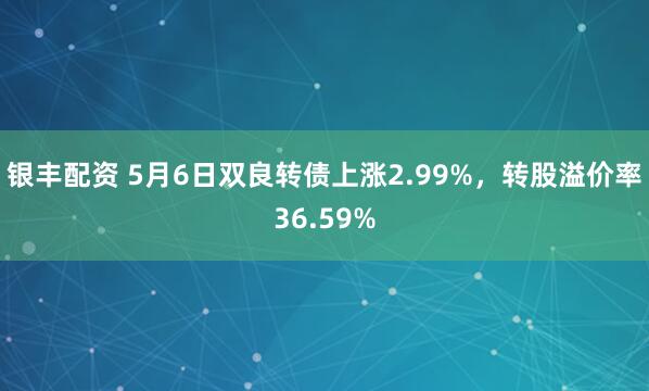 银丰配资 5月6日双良转债上涨2.99%，转股溢价率36.59%