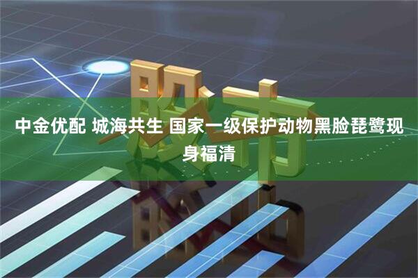 中金优配 城海共生 国家一级保护动物黑脸琵鹭现身福清