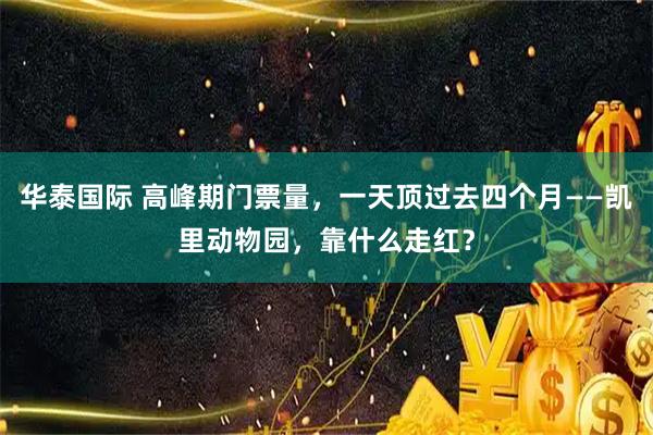 华泰国际 高峰期门票量，一天顶过去四个月——凯里动物园，靠什么走红？