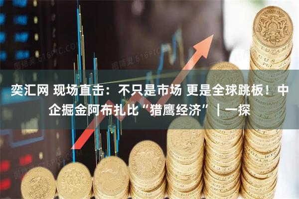 奕汇网 现场直击：不只是市场 更是全球跳板！中企掘金阿布扎比“猎鹰经济”｜一探