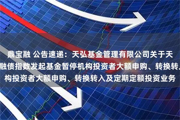 鼎宝融 公告速递：天弘基金管理有限公司关于天弘中债1-5年政策性金融债指数发起基金暂停机构投资者大额申购、转换转入及定期定额投资业务