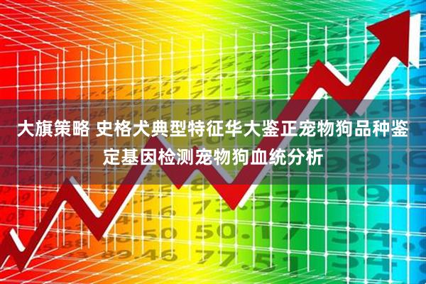 大旗策略 史格犬典型特征华大鉴正宠物狗品种鉴定基因检测宠物狗血统分析