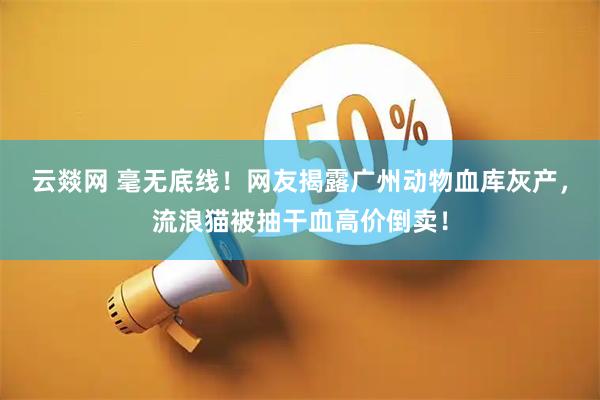 云燚网 毫无底线！网友揭露广州动物血库灰产，流浪猫被抽干血高价倒卖！